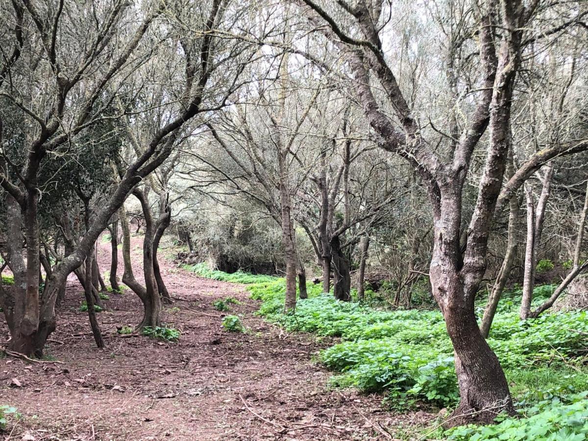Casa Rural Bini Aumaia Es Mercadal Bagian luar foto
