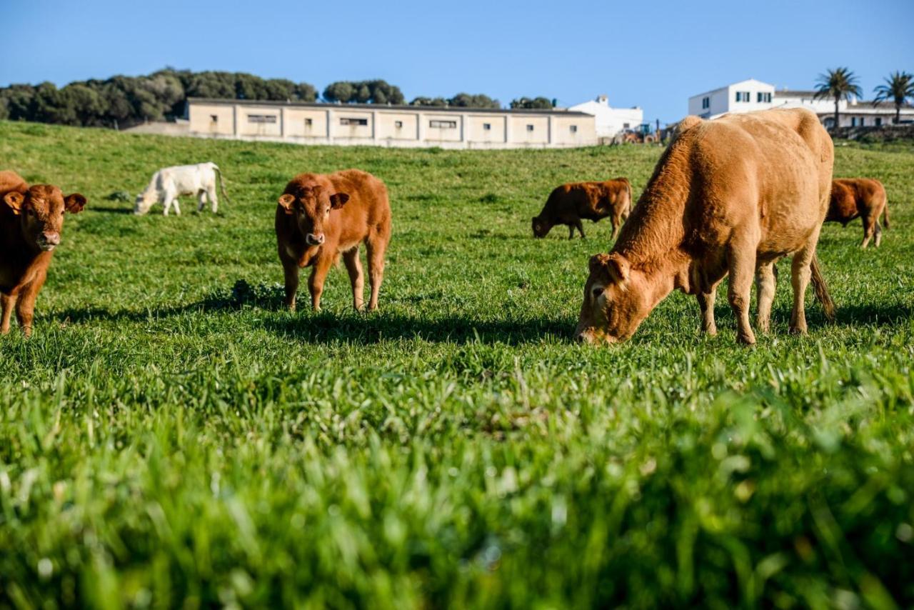 Casa Rural Bini Aumaia Es Mercadal Bagian luar foto