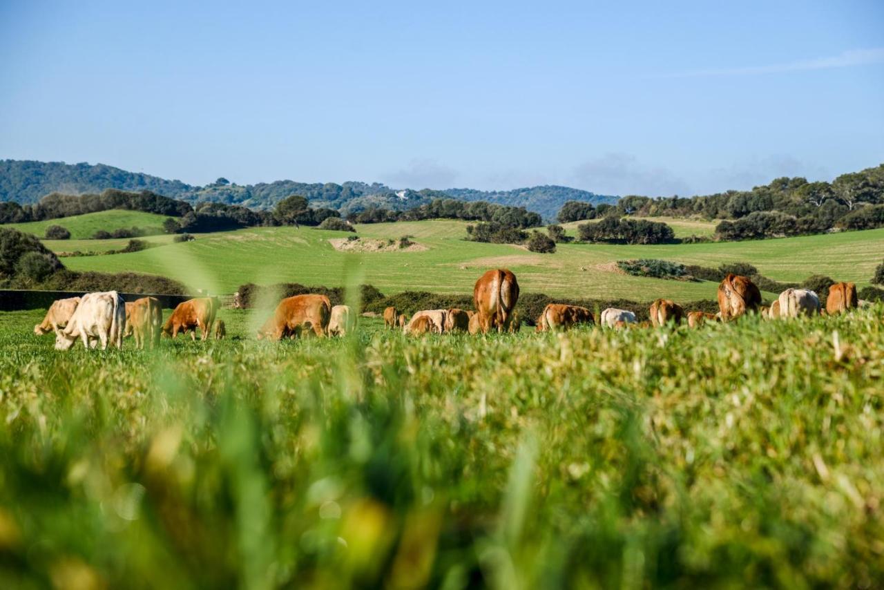Casa Rural Bini Aumaia Es Mercadal Bagian luar foto