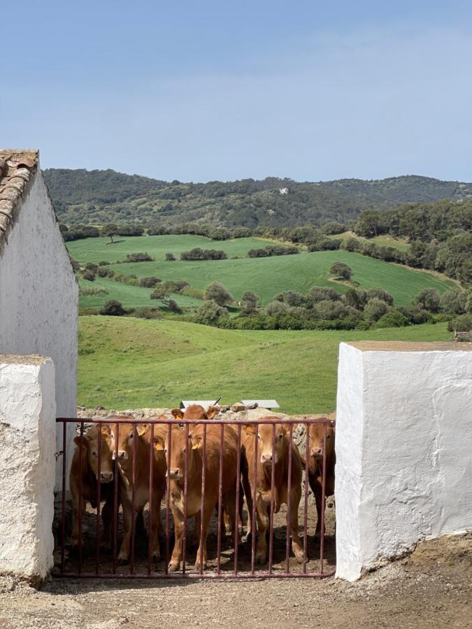 Casa Rural Bini Aumaia Es Mercadal Bagian luar foto